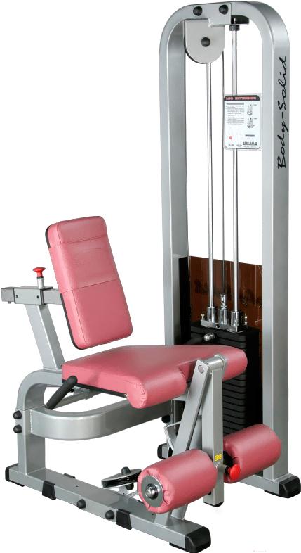 

Голень сидя Body-Solid ProClub SLE-200G/2, ProClub SLE-200G/2