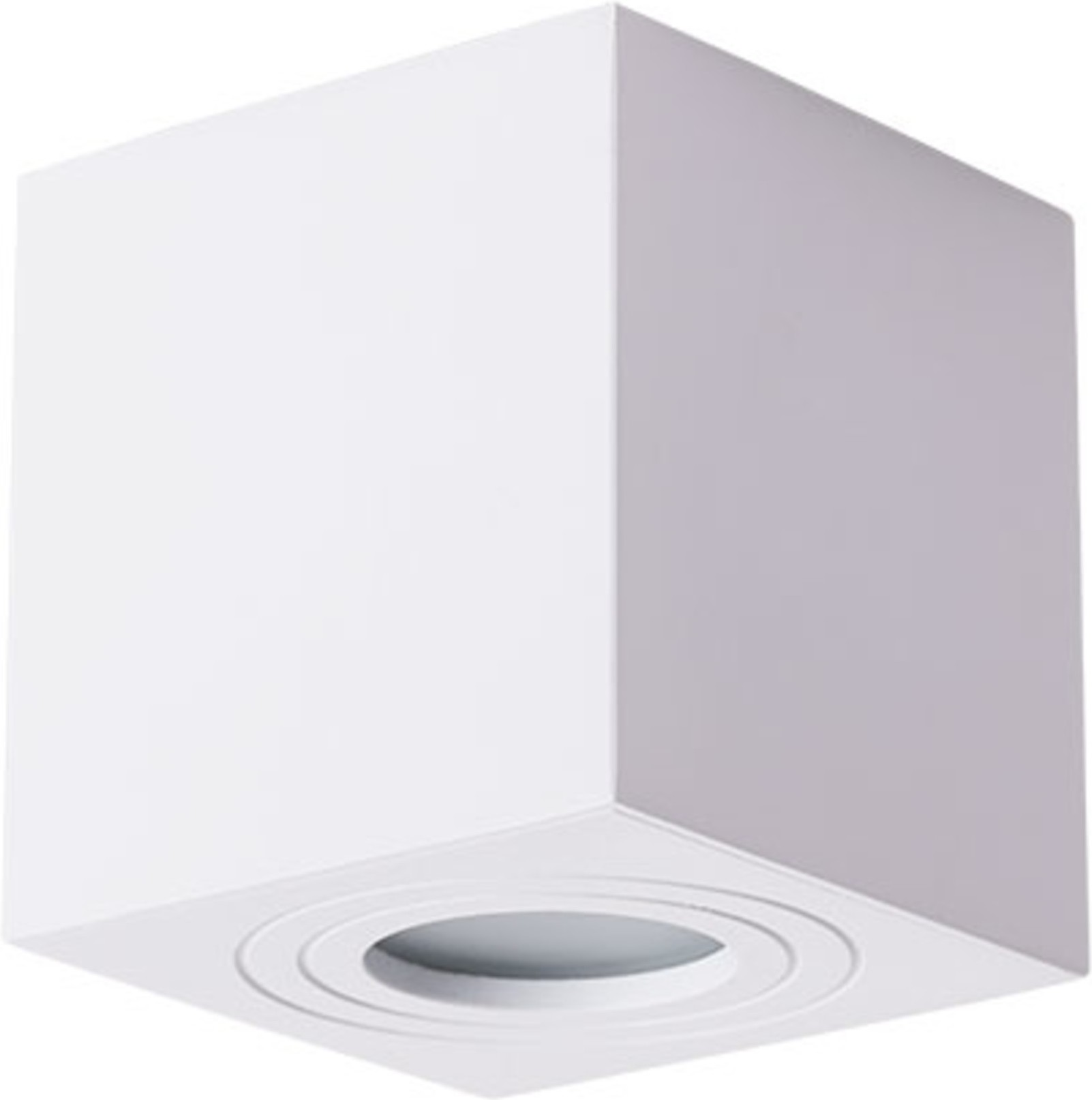 

Накладной точечный светильник Arte Lamp A1461PL-1WH