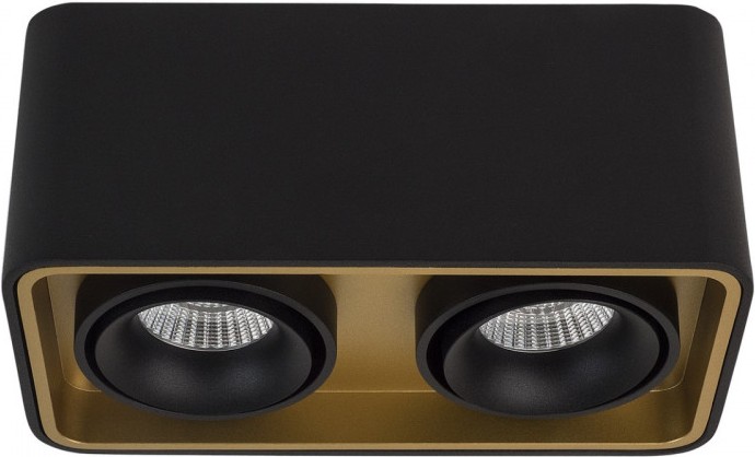 

Накладной светильник LeDron TUBING 2 Black/Gold, Накладной точечный светильник LeDron TUBING 2 Black/Gold