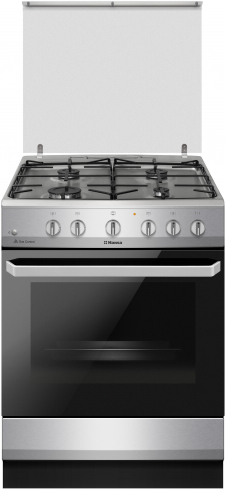 

Кухонная плита HANSA FCGX61109