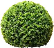 

Предмет интерьера Green Fly Самшит Крапива, Самшит Крапива