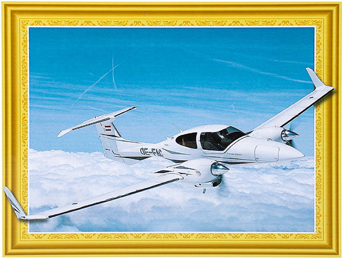 

Алмазная живопись Darvish Самолет (DV-12413-11)