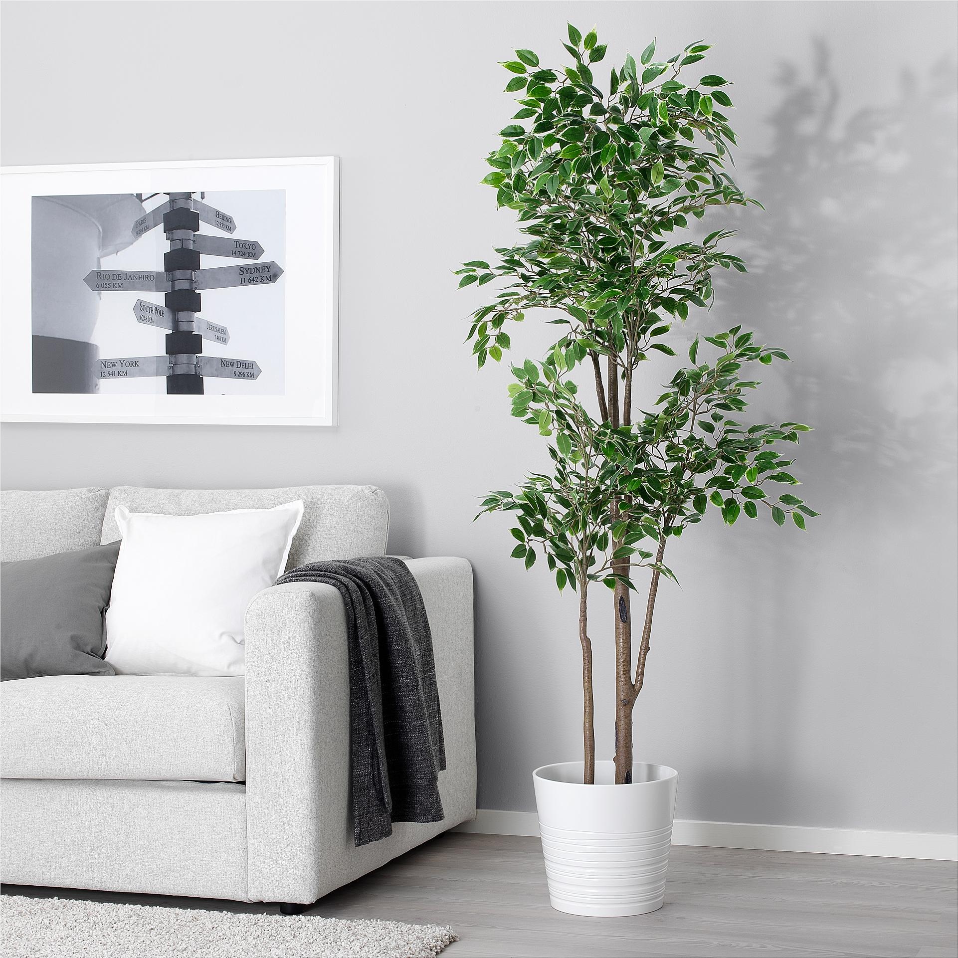 

Искусственное растение IKEA Фейка [103.751.83], Фейка