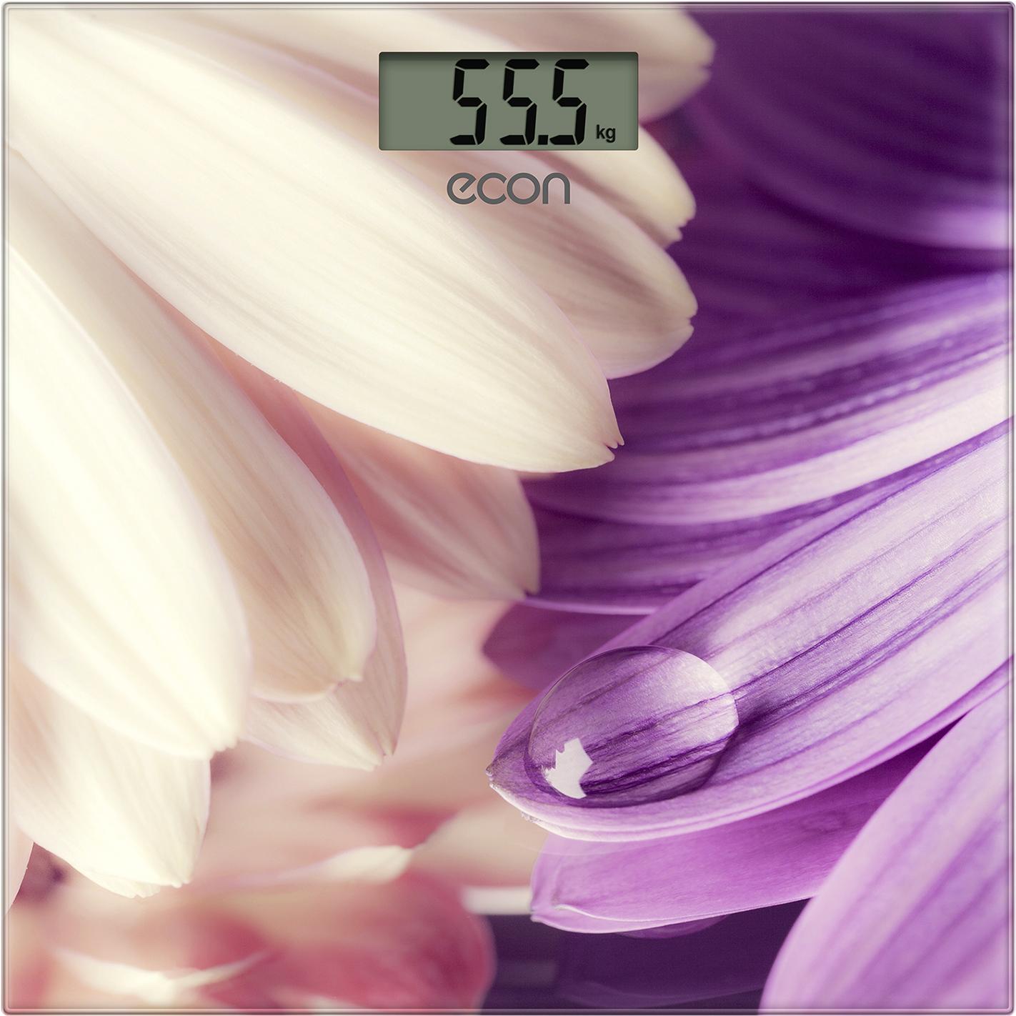 

Напольные весы ECON ECO-BS 009, ECO-BS 009