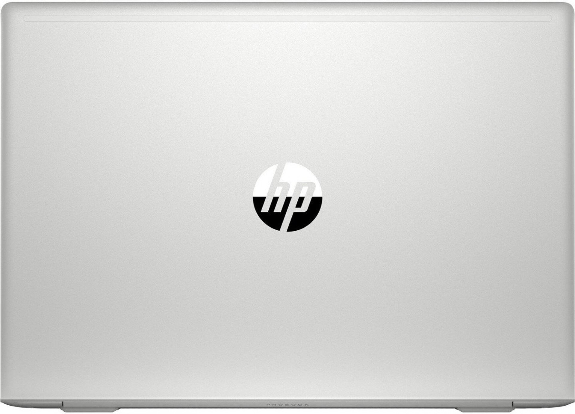 

Моноблок HP 24-dp0056ur Ryzen 5 4500U 8Gb/SSD256Gb серебристый (463G2EA)