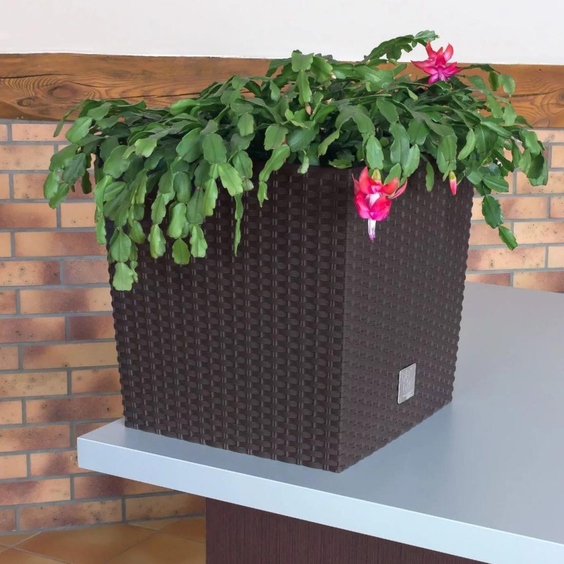 

Горшок Prosperplast Rato Low Wenge [DRTS265L-440U], Rato Low