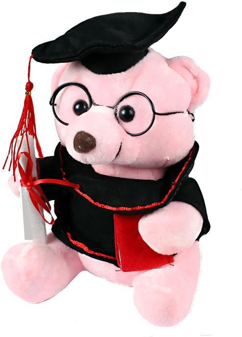 

Мягкая игрушка Darvish Мишка плюшевый Бакалавр [DV-T-1585PINK], Мягкая игрушка Darvish Мишка плюшевый Бакалавр DV-T-1585PINK