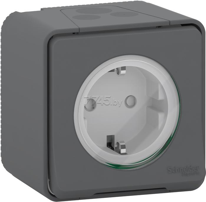 

Розетка Schneider Electric Mureva Styl MUR36034, Mureva Styl MUR36034