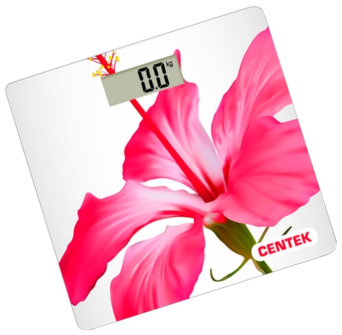 

Напольные весы CENTEK CT-2412, CT-2412