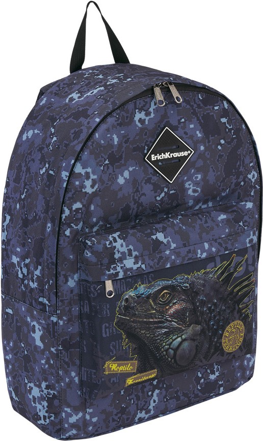 

Школьный рюкзак Erich Krause EasyLine 17 L Iguana [48628], Школьный рюкзак Erich Krause EasyLine 17 L Iguana 48628