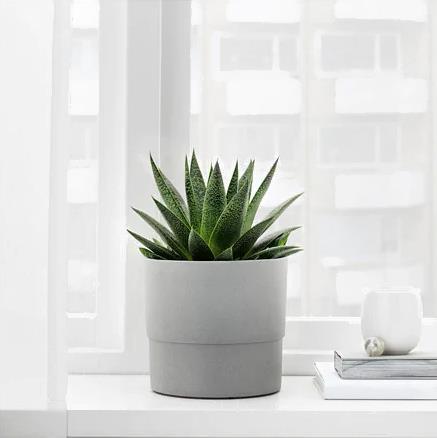 

Кашпо IKEA Нипон [503.956.12], Нипон
