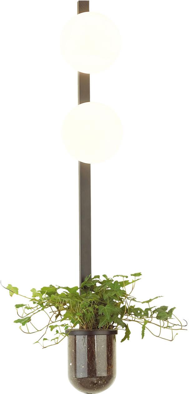 

Бра Odeon Light Flower 4681/2WA
