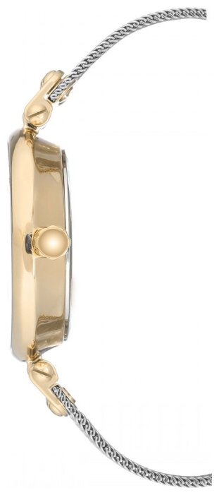 

Наручные часы Anne Klein AK/3001SVTT, AK/3001SVTT