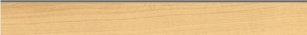 

Плитка Cersanit Woodhouse (70x598) темно-бежевый [WS5A016/J], Плитка Cersanit Woodhouse (70x598) WS5A016/J темно-бежевый