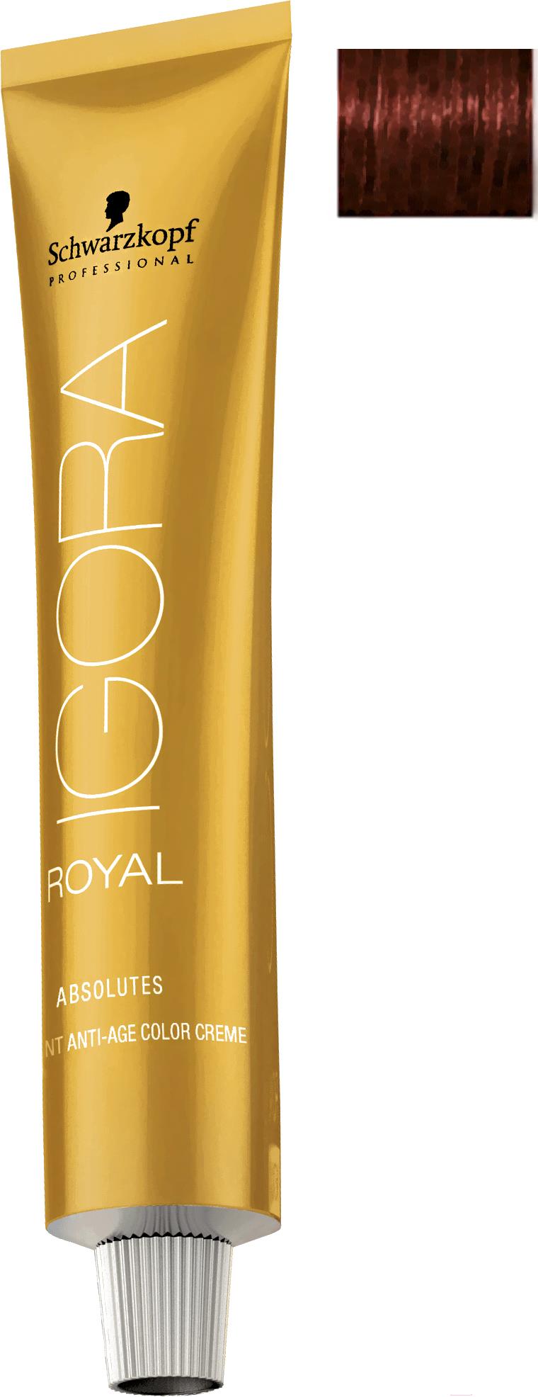 

Краска для волос Schwarzkopf Professional Igora Royal Absolutes 5-80 60мл, Igora Royal Absolutes 5-80 60мл