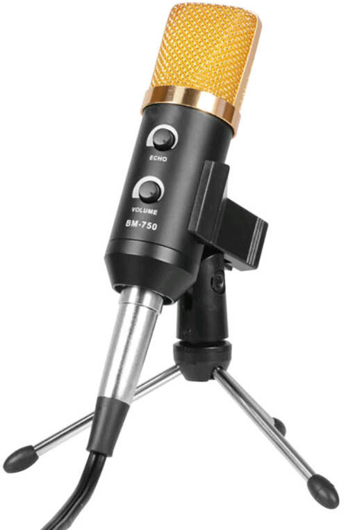 

Микрофон Biema BM750