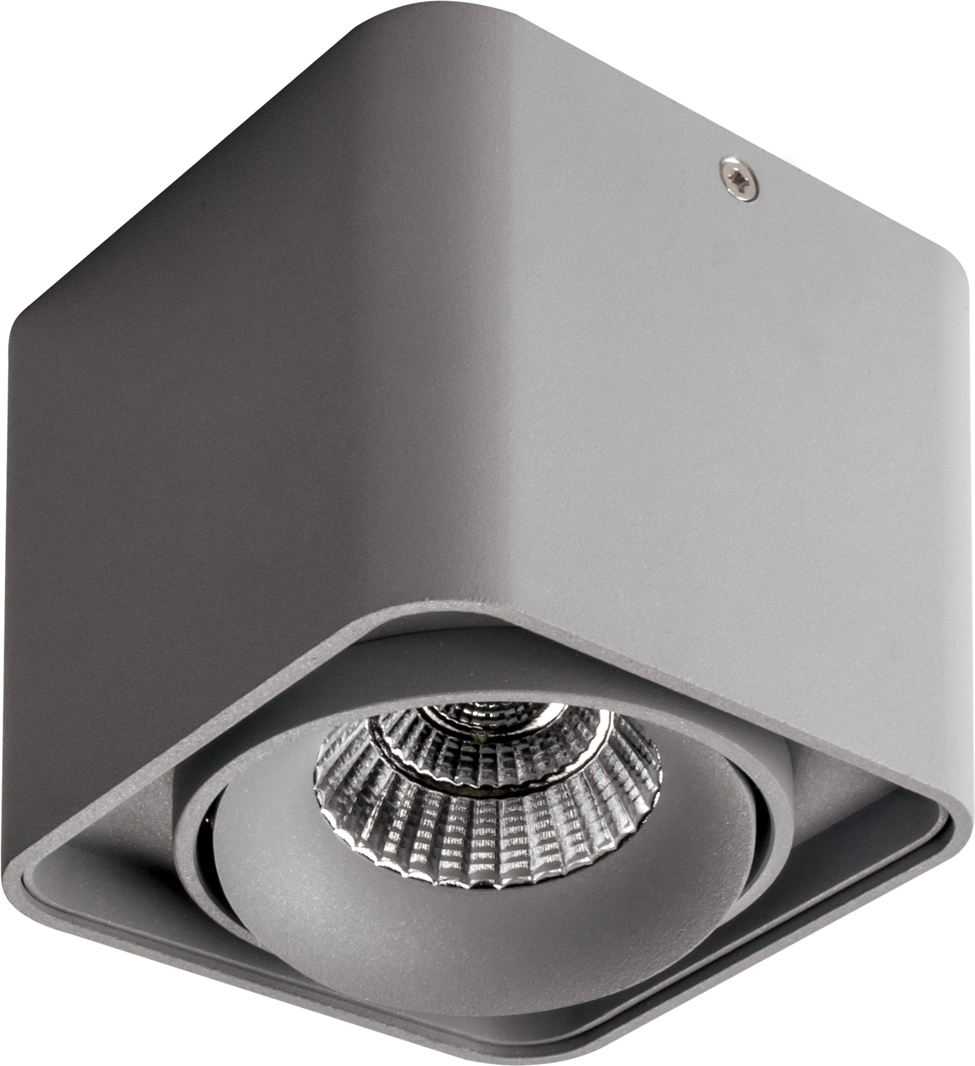 

Светильник Lightstar Monocco серый [212519], Накладной точечный светильник Lightstar Monocco 212519 серый