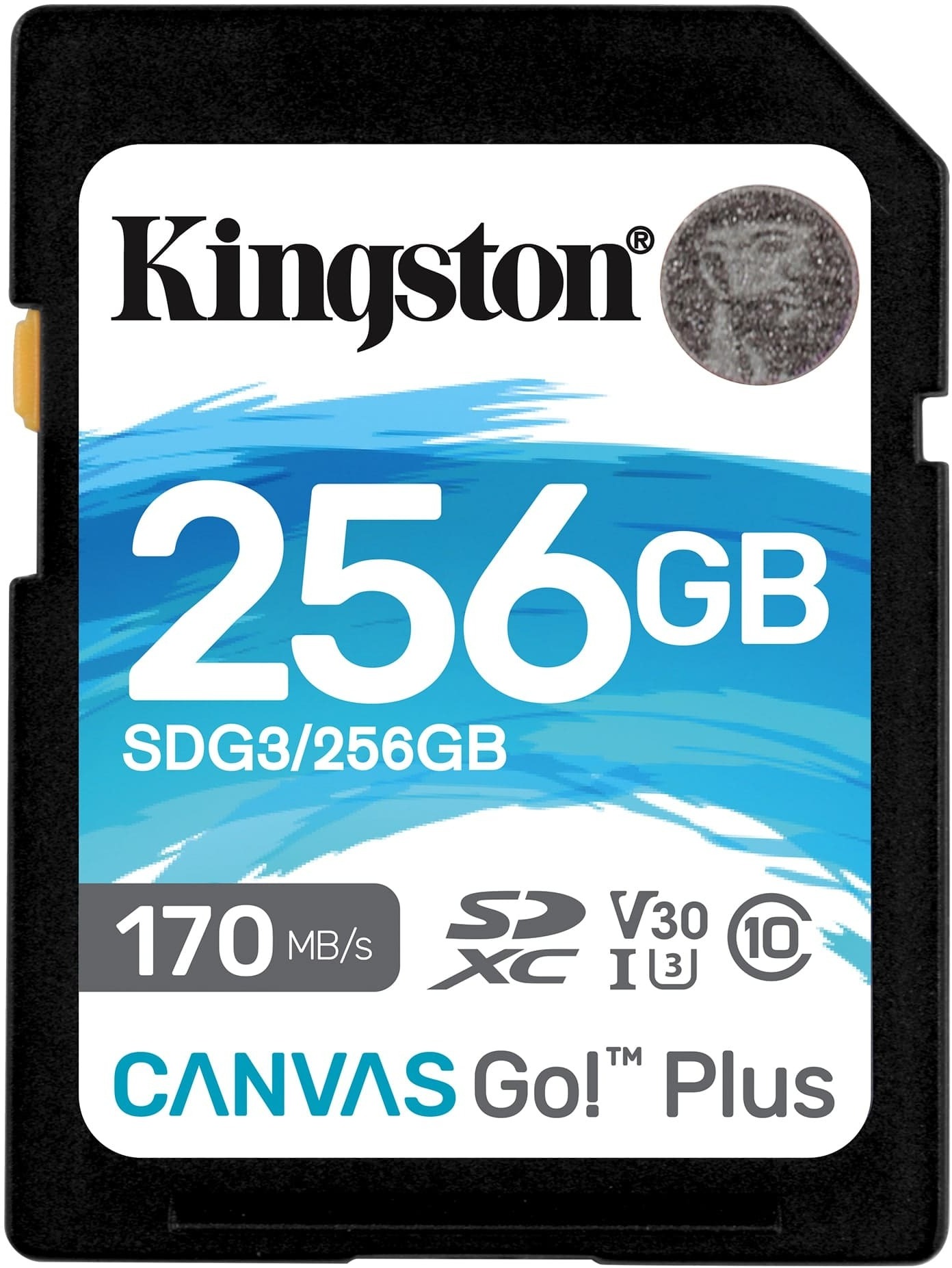 

Карта памяти Kingston Canvas Go! Plus SDXC 256GB