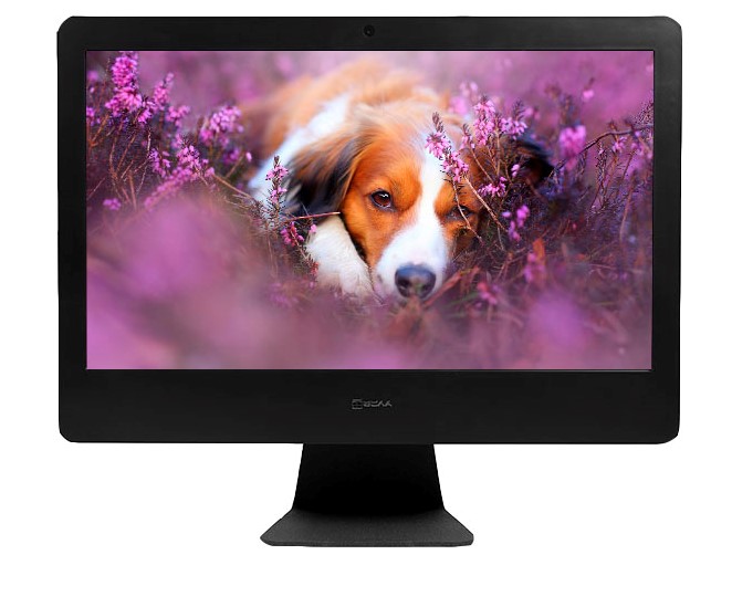 

Моноблок Тесла K22B 21,5'' i5-9400/H310i/4Gb DDRIV/1Tb/ssd 120gb/DVD/int, K22B-26098