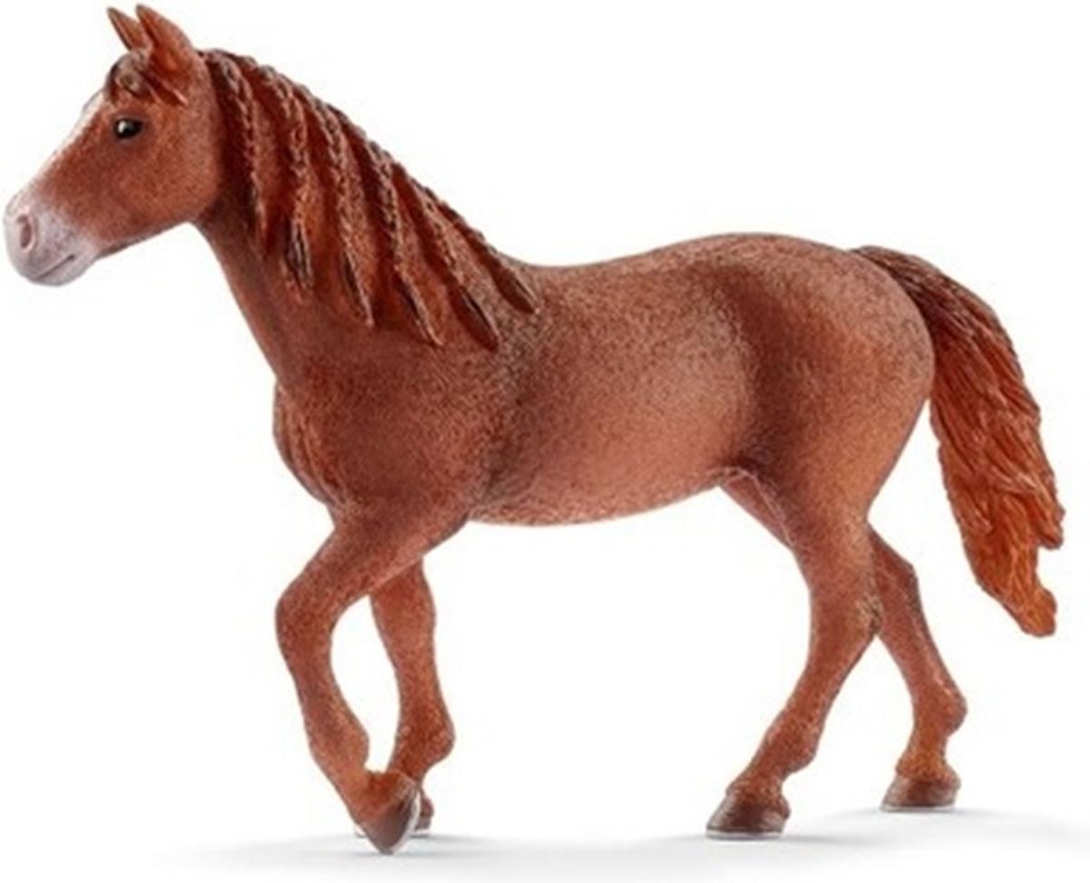 

Игрушка Schleich Кобыла Морган [13870], Кобыла Морган