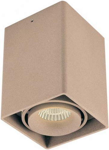 

Накладной точечный светильник Donolux DL18611/01WW-SQ Champagne