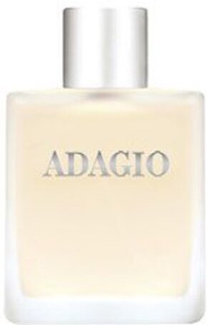 

Туалетная вода Dilis Parfum Adagio 100мл