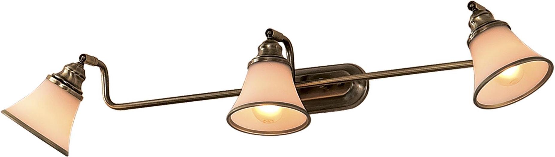 

Спот Citilux CL511533