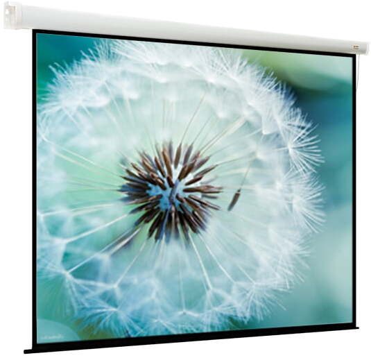 

Проекционный экран ViewScreen Breston MW [EBR-16909], Проекционный экран ViewScreen Breston MW EBR-16909