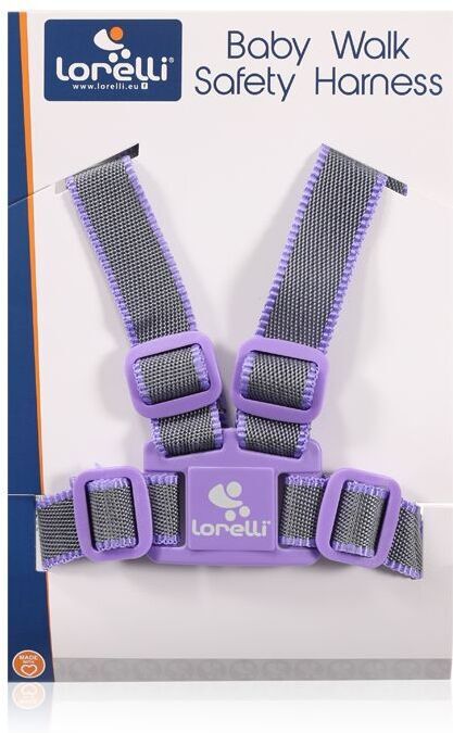 

Ходунки Lorelli 10010051265 Grey/Violet