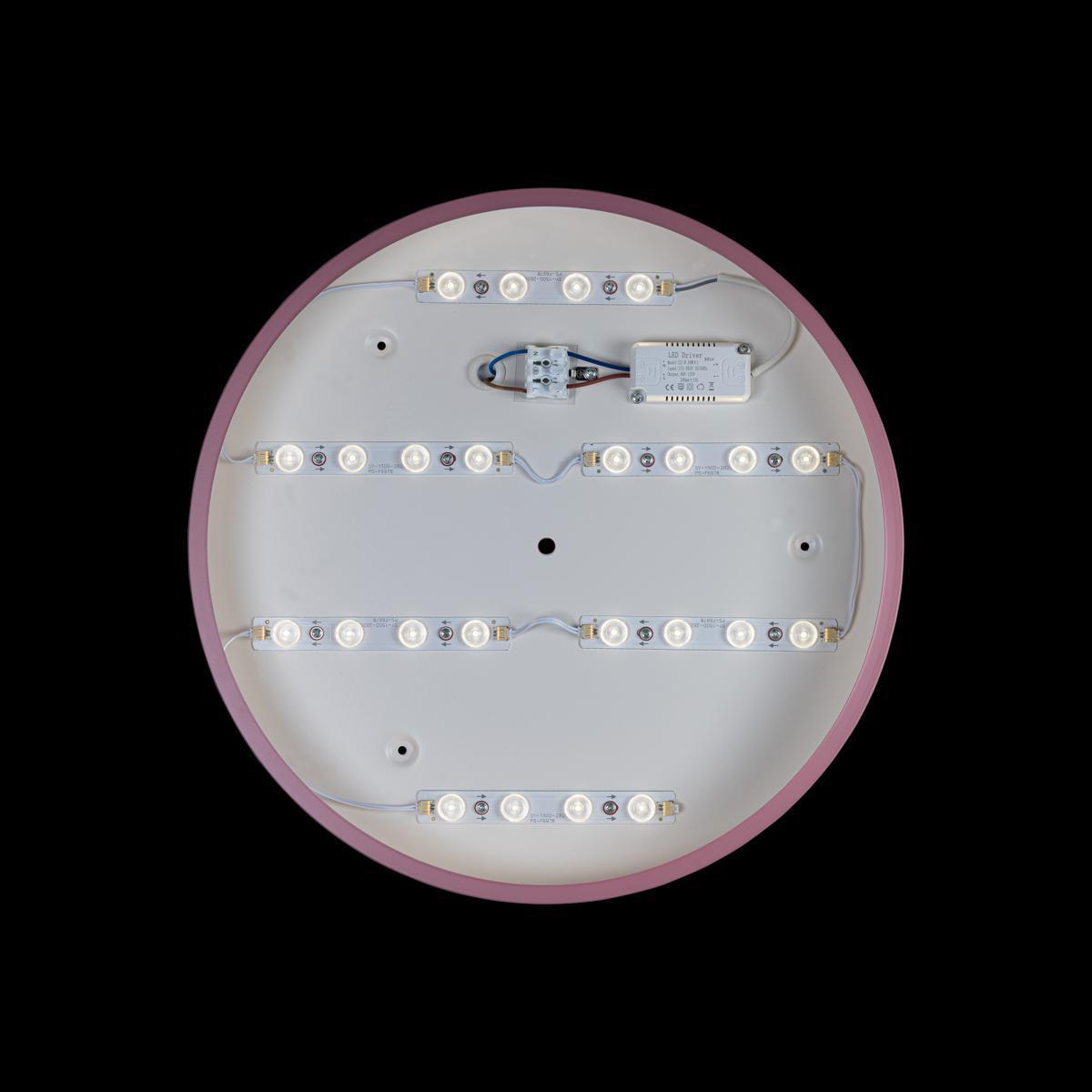 

Светильник LOFT IT 10003/24 Pink