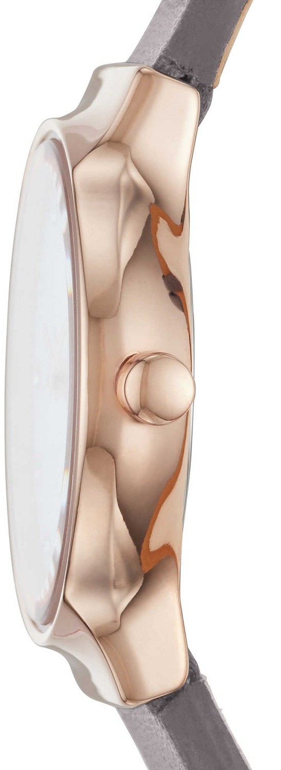 

Наручные часы Skagen женские SKW2668, женские SKW2668