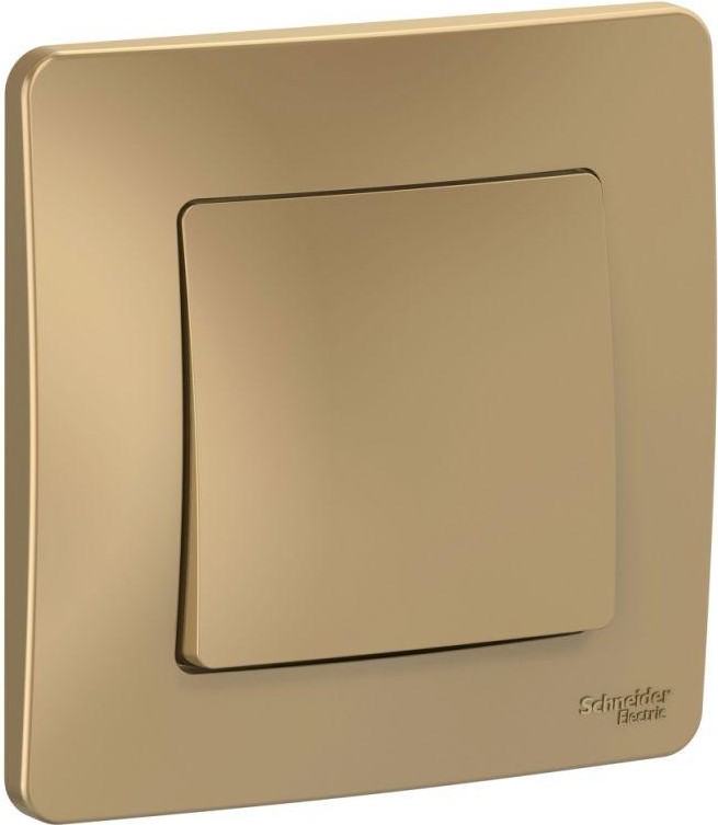 

Выключатель Schneider Electric Blanca титан [BLNVS010104], Выключатель Schneider Electric Blanca BLNVS010104 титан
