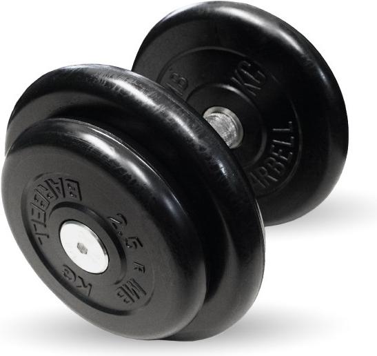 

Гантель MB Barbell профи 16,0 кг [173], профи 16,0 кг