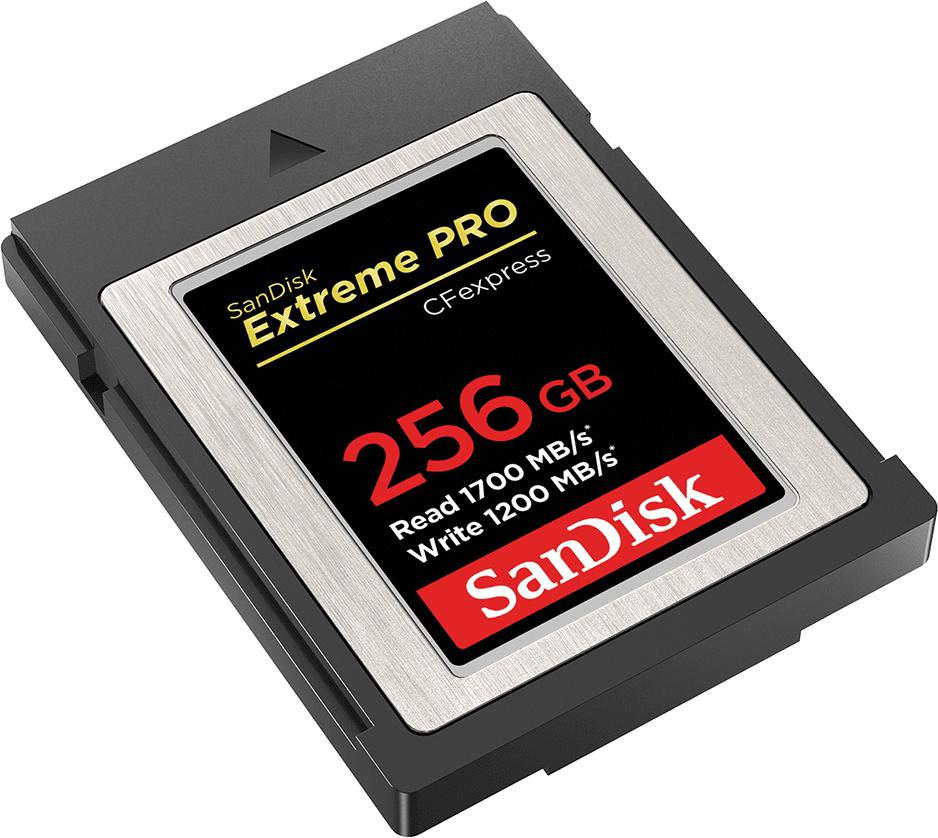 

Карта памяти SanDisk COMPACT FLASH 256GB [SDCFE-256G-GN4NN], COMPACT FLASH 256GB