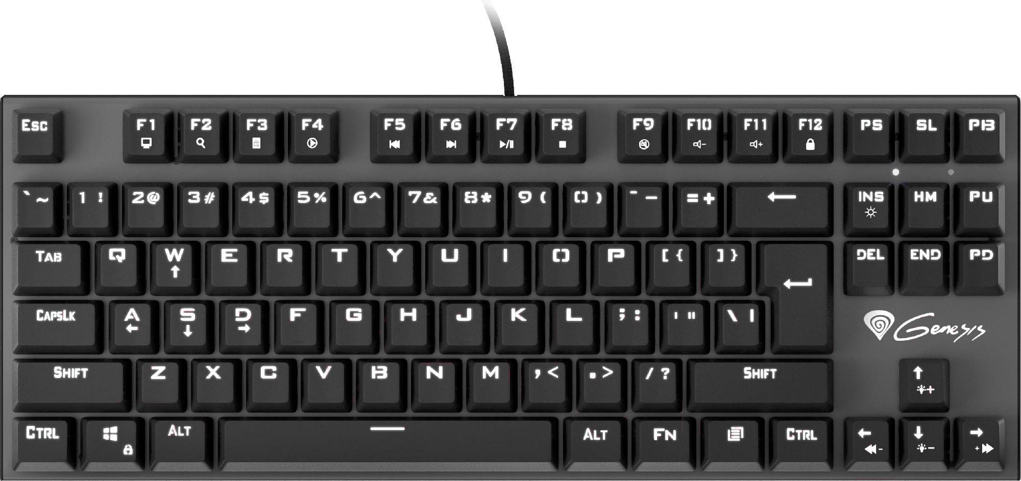 

Клавиатура игровая Genesis Thor 300 TKL Outemu Red (NKG-1826)