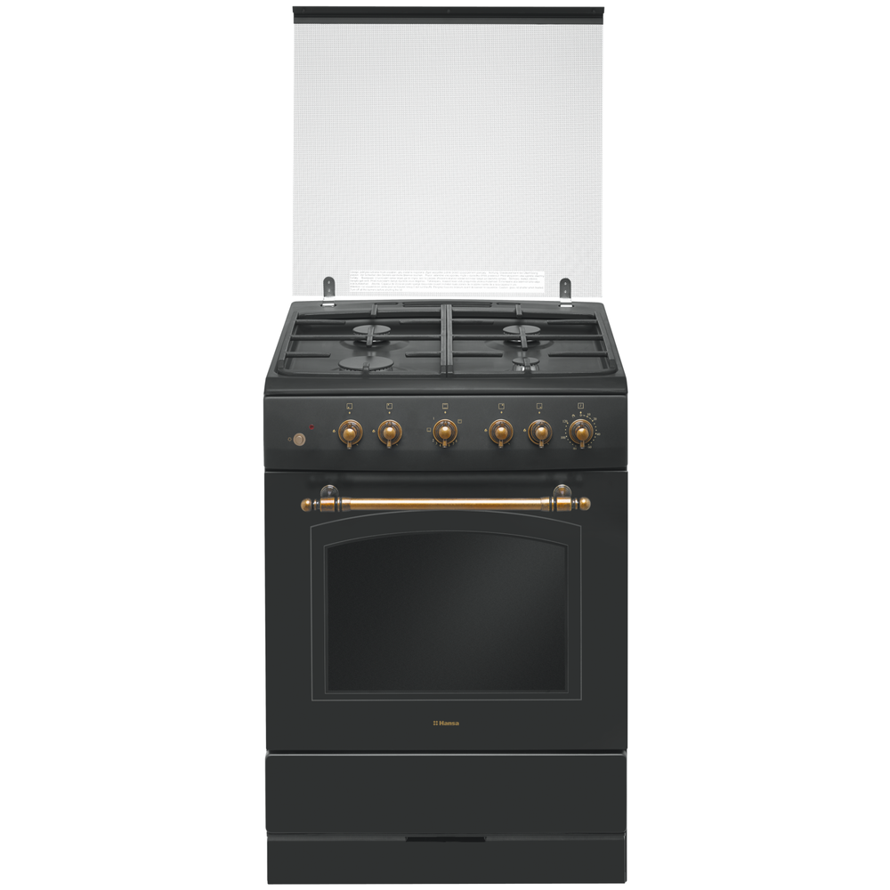 

Кухонная плита Hansa FCGA62109