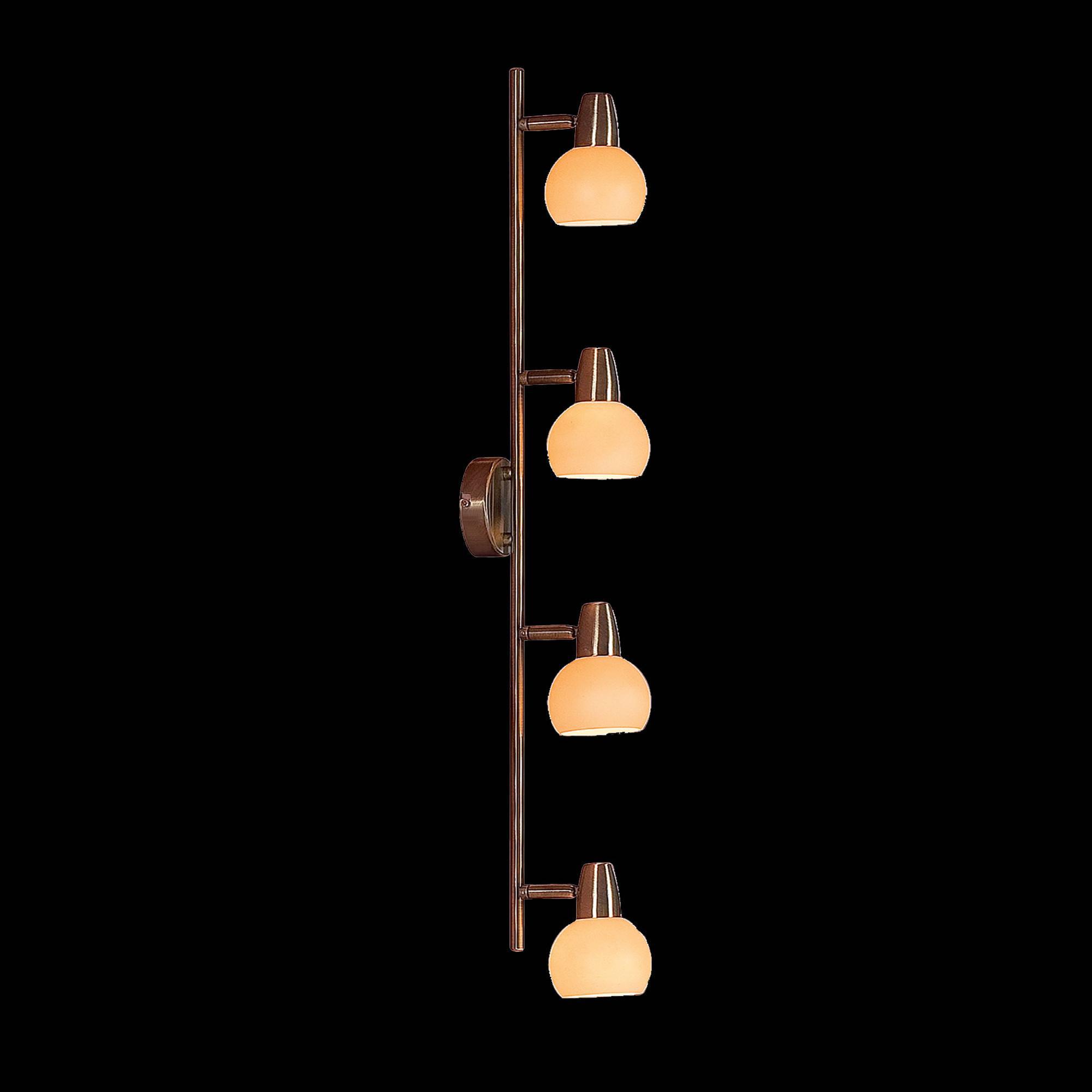 

Спот Citilux CL516543