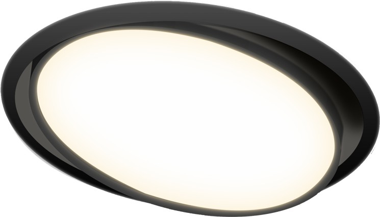 

Встраиваемый точечный светильник Donolux DL18813/23W Black R