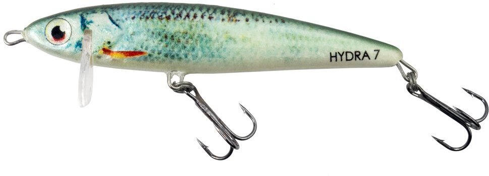 

Воблер Hunter Hydra 75 Мм 9 г Sinking Olive (HY 7 S OLIV)