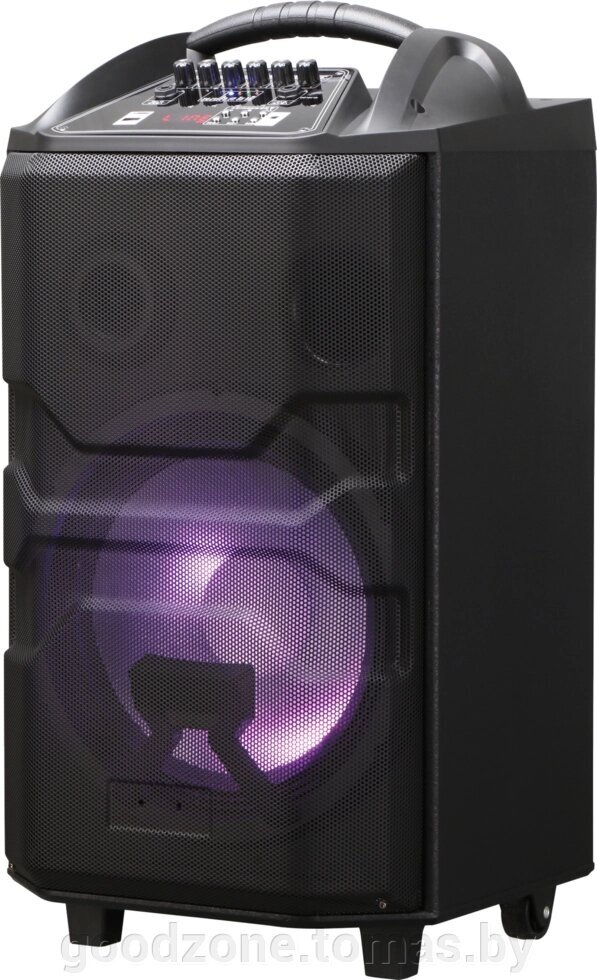 

Портативная акустика National NSM-V550