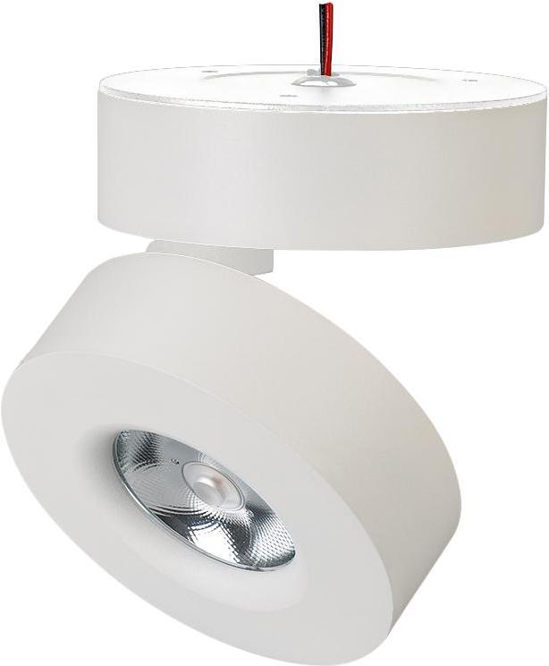 

Накладной светильник Arlight Светильник SP-MONA-SURFACE-R100-12W Warm3000 (WH, 24 deg) [025440], Светильник SP-MONA-SURFACE-R100-12W Warm3000 (WH, 24 deg)
