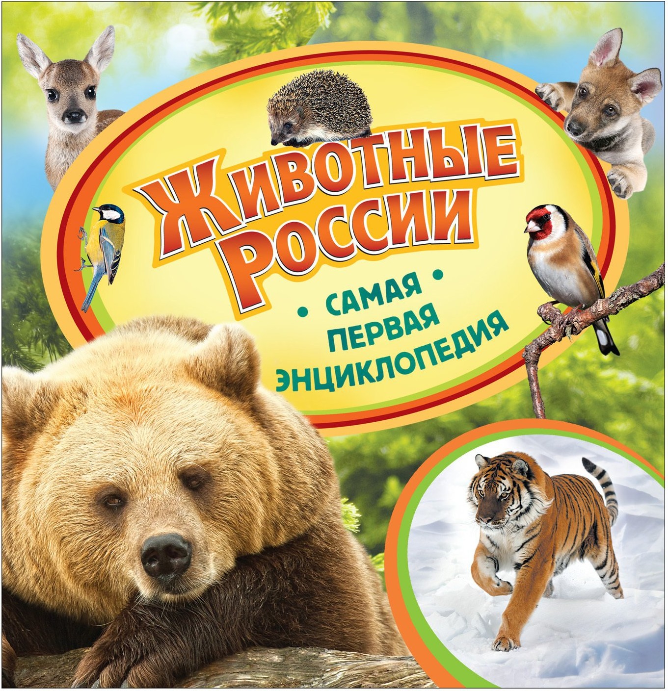 

Энциклопедия Росмэн Животные
