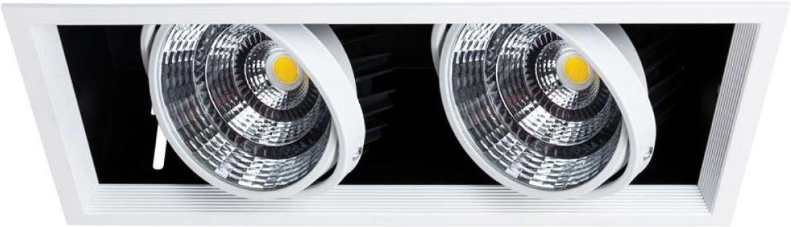 

Встраиваемый точечный светильник Arte Lamp A8450PL-2WH