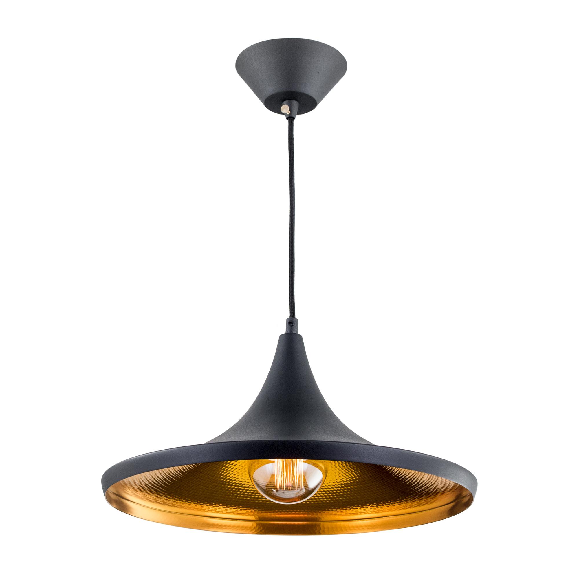 

Потолочный подвесной светильник Citilux Эдисон CL450210 черный, Эдисон
