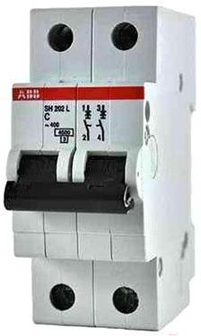 

Выключатель ABB S 202 2P С 2А 6кА 2M [2CDS252001R0024], S 202 2P С 2А 6кА 2M