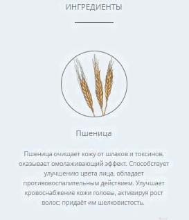 

Крем для лица True Alchemy Vitamin A 1.09% (30мл), Vitamin A 1.09% (30мл)