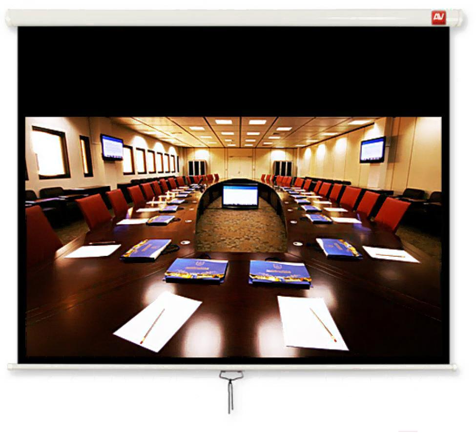 

Проекционный экран BY Print Business 300 300x218см [WS300W], Business 300 300x218см