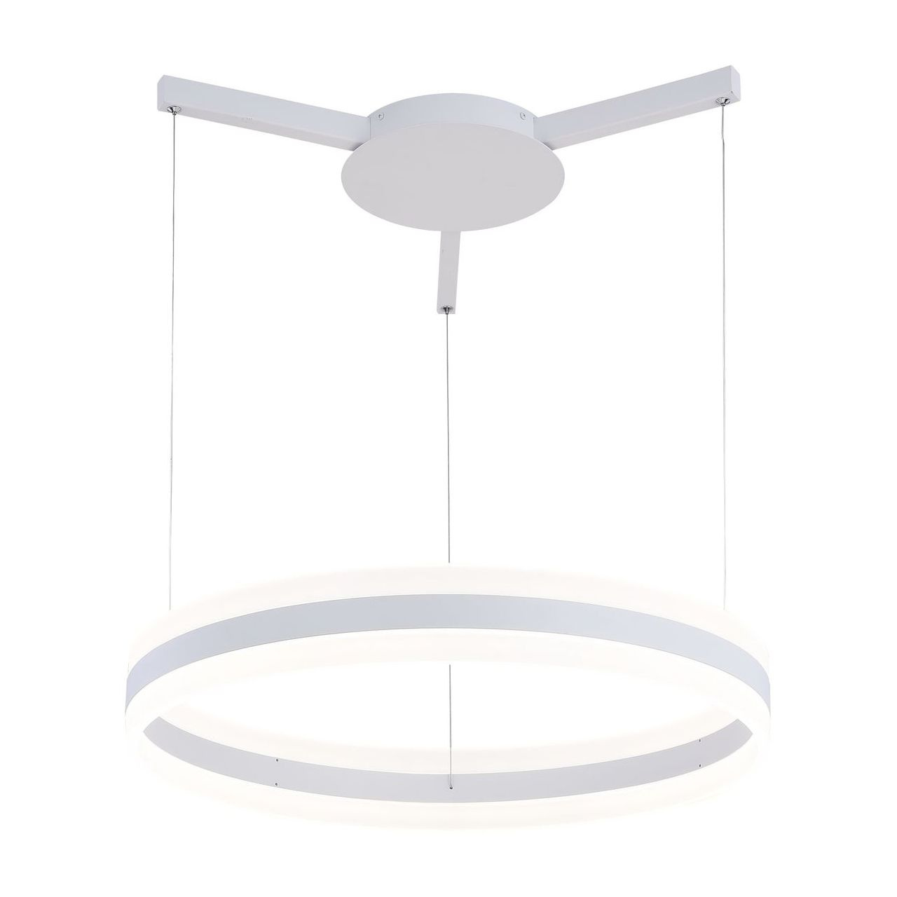 

Потолочный подвесной светильник ARTE Lamp A2501SP-1WH, A2501SP-1WH