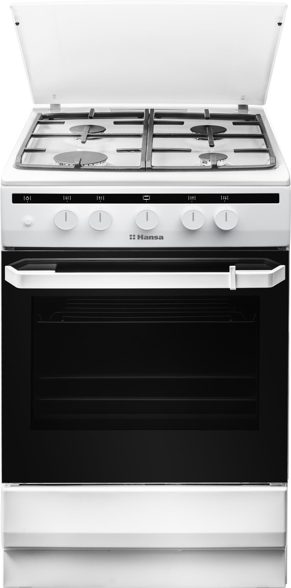 

Кухонная плита Hansa FCGW51050