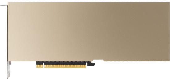 

Видеокарта ASUS Nvidia Tesla A10 24GB (90SKC000-M5FAN0)